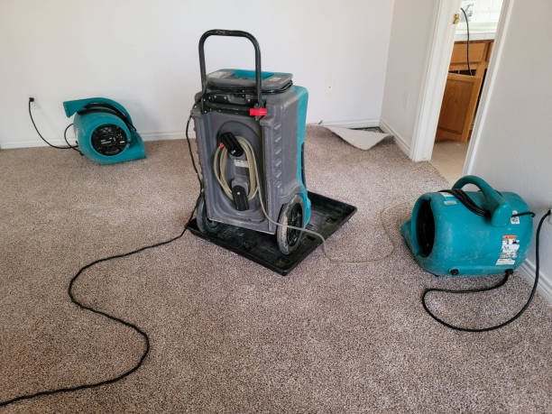 Best Flood restoration services  in Tontitown, AR