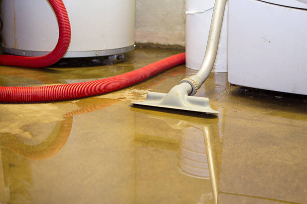 Best Professional water damage repair  in Tontitown, AR