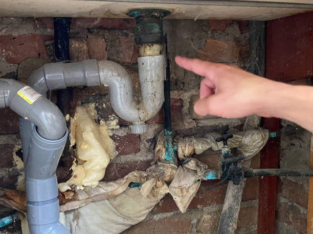 Best Fire Damage Restoration  in Tontitown, AR